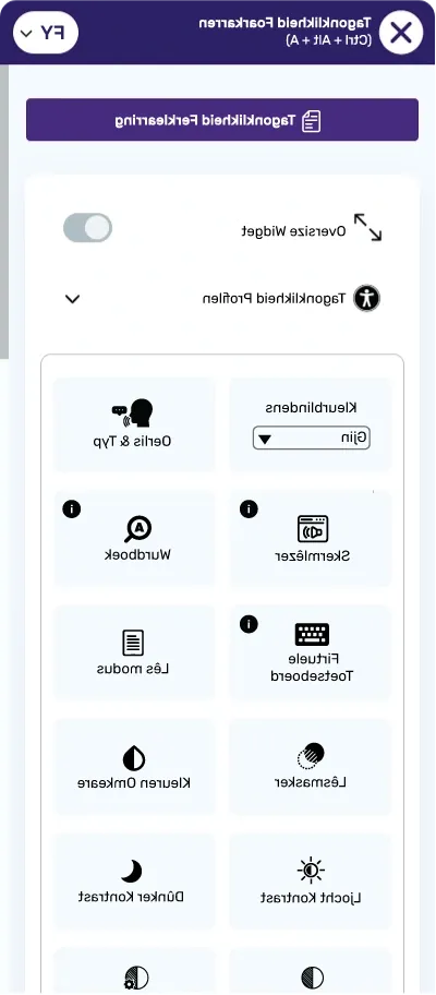 frisian accessibility toolbar